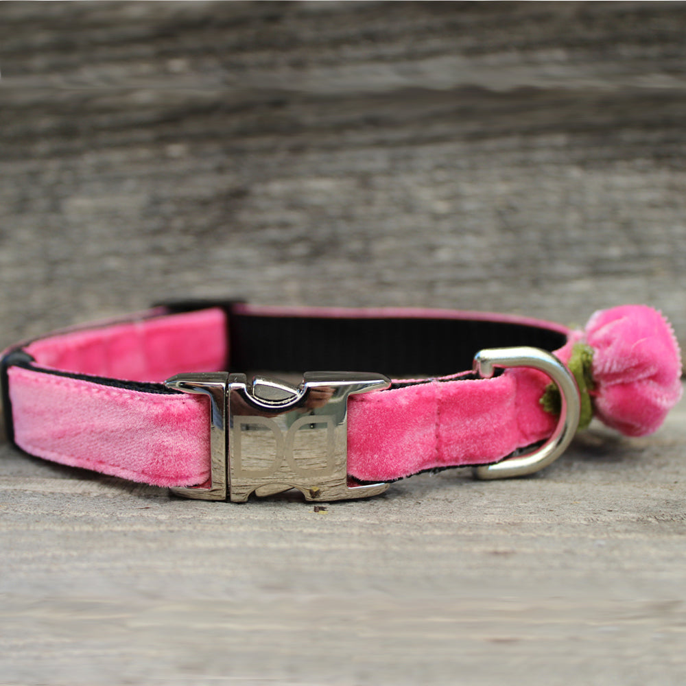 Antique Rose Velvet - Luxury Velvet Dog Collar - Pixie Drip